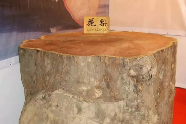 花梨木 花梨木